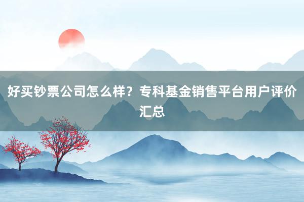 好买钞票公司怎么样？专科基金销售平台用户评价汇总